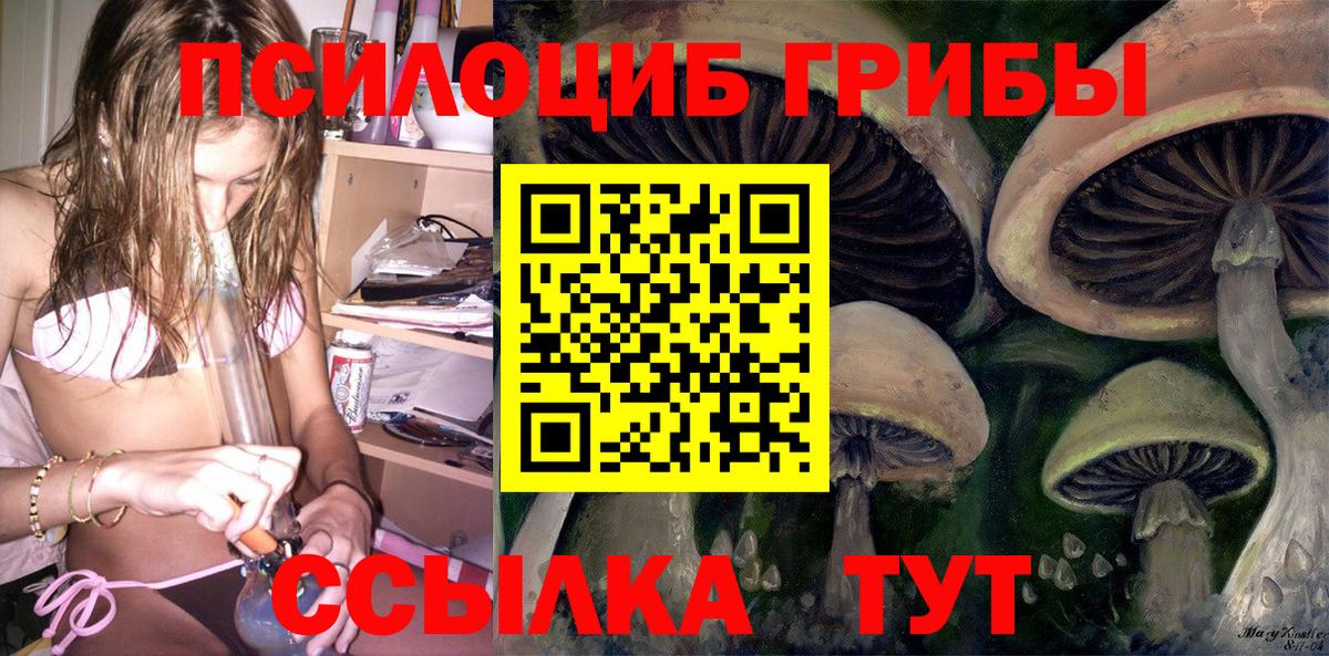 Галлюциногенные грибы прущие грибы  Вход с VPN  Сургут  закладки  Галлюциногенные грибы Psilocybe 